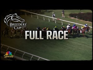 Breeders' Cup 2024: TAA Stakes (Full Race) | NBC Sports