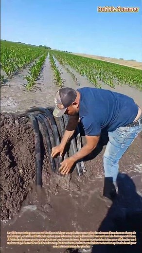 Gestion de l'eau dans les champs : évacuation de l'excès d'eau d'irrigation par effet de siphon