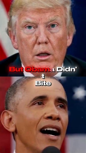 Watch full moment: https://allthingsentertainmentnews.fun/barack-obama-forces-trump-to-admit-the-truth-historic-moment-in-hearing/ | Falcon News