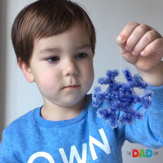 809K views · 2.7K reactions | This crystal snowflake is made by dipping shaped pipe cleaners into borax dissolved in boiling water. As the water cools, borax forms crystals that cling to pipe cleaners making this magical Christmas tree decoration #TheDadLab #science #christmastree | TheDadLab | Facebook