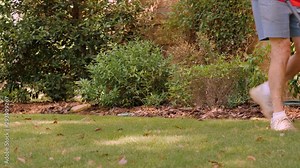 Man using manual push lawn sweeper to remove fall leaves from residential backyard grass lawn.