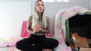 81K views · 9.2K reactions | Are most orange cats male? Let's settle this once and for all! | Kitten Lady | Facebook