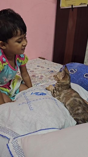 1.3M views · 10K reactions | Kitty started the fight 藍藍 #cute #baby #cat #love #catlovers #babylovers #funny #laugh #loveanimals #cutecat #meow | Andaman Baby | Facebook