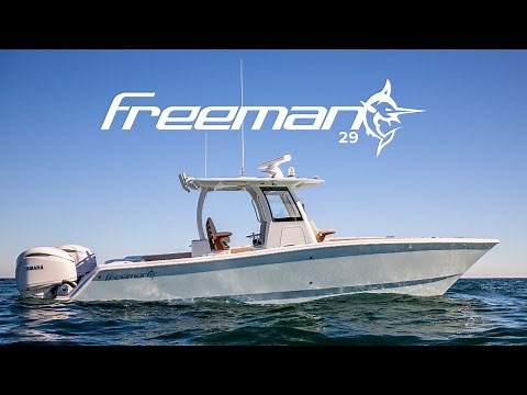 Freeman 29 Walkthrough