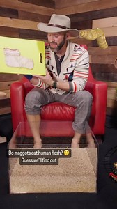 762K views · 356 reactions | Brave Wilderness on Reels | Facebook