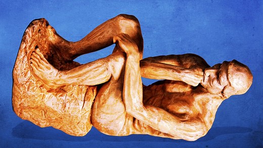 Meet the 2025 Ig Nobel Prize winners