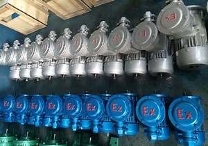 [Hot Item] Yb Series Ybx3 Ybx3-280m-4 Explosion-Proof Flameproof Three Phase AC Electric Motor for Pump Compressor Reducer Farm Machine