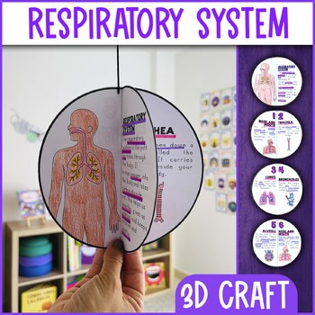 Respiratory System Diagram Craft Activity | Science Craftivity | Body Systems