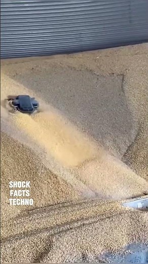 A robot that works inside a grain bin #technology #innovation #short