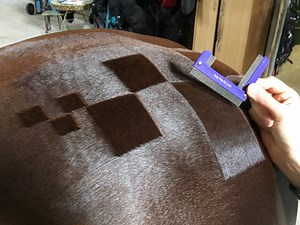 Hairy Pony QTR Comb 3 perfect sizes for riding pony checkers, standard checkers and hunter stripes ! Super fine stainless steel teeth for ultimate precision and no bending or breaking of teeth. $15.95 Shop at Europe 🇬🇧 🇩🇪 🇷🇺 🇳🇱 www.hairypony.co.uk Australia and the rest of the world 🌎 www.hairypony.com.au | Hairy Pony