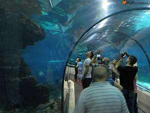 Oceanarium - MyBarcelona.pl - wszystko o Barcelonie