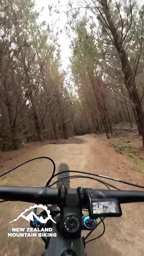 Exciting Weekend Adventure: Rotorua MTB Trails with Marin Bikes