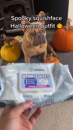 2.5K views · 364 reactions | Check out my spooky Squishface Halloween costume  If your wrinkles need a clean you can get yourself 10% off using the link in comments | TJ The Frenchie | Facebook
