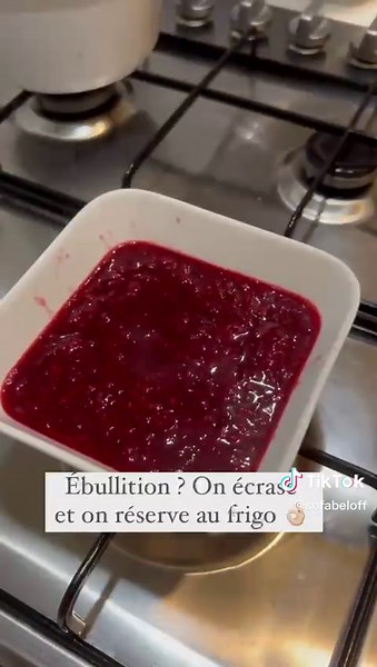 Recette de Panna Cotta aux Fruits Rouges avec Sofabel