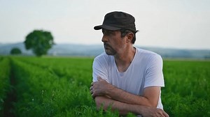 Farm Worker Squatting Carrot Plantation Field Stock Footage Video (100% Royalty-free) 3750924689 | Shutterstock