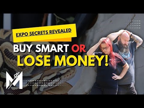 STOP! Don’t Buy Ball Pythons at an Expo Until You Watch This