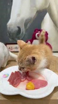 Who could resist such a cute little kitten?