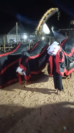 PUTRA MANDALA WISANGGENI recorded by Java Cultural | #short #seni #budaya #carnaval #sports #trip