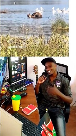 We’re just animals in designer clothes 🐾