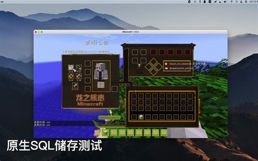 DragonDB 龙之核心数据库扩展.