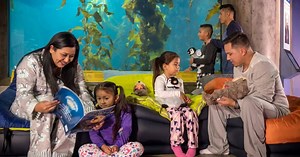 50K views · 782 reactions | What do fishes see at night? Aquarium sleepovers are an eye-opening experience. | Monterey Bay Aquarium | Facebook