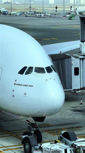 Spotting Luggage Loading on Emirates Airlines