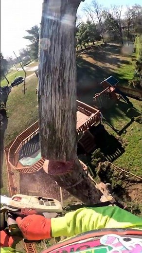 That One Limb Never Had a Chance 😳