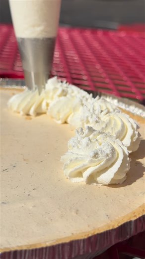 1.9K views · 5 comments | 不LAST CHANCE to order your holiday ice cream pies! Our order form will close on Sunday, Nov. 23. All pies are made in a 10-inch graham cracker crust filled with our famous homemade ice cream! Choose from flavors like Not Your Mama’s Pumpkin Pie, Cookies by the Sea, Shipwrecked and more. Visit the link in our bio to order yours! | Two Scoops Creamery | Facebook