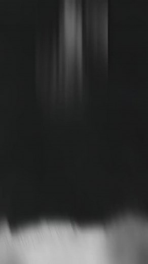 #K9 #DOG #DUTCHSHEPHERD #POLICEDOG #EXTREME #ATTACK #POWER #VIRAL #X #MALINOIS #HOLLAND #KNPV #HARDWORK #94 | K9 BANG