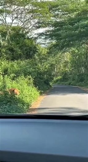 Micro Pranks That Will Make You Laugh Out Loud