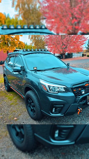 2.5K views · 99 reactions | Christopher Cousins on Reels | Facebook