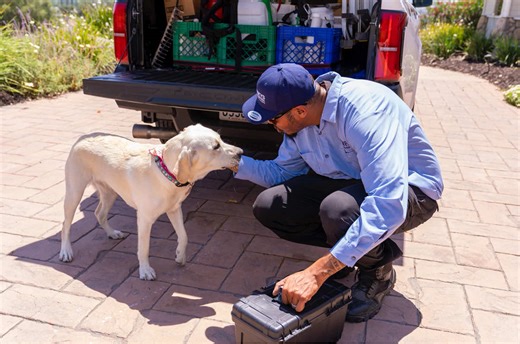 After a storm, you’re not the only one looking for a dry place—pests are too. Moisture is one of the biggest pest attractants. Here are a few simple ways to help protect your home right now: – Dry out standing water around the foundation and in planters. – Check for leaks under sinks, near water heaters, and along walls. – Seal entry points where pipes or vents meet the structure. – Clear gutters and debris that trap moisture and attract insects. When weather changes, pests move—and fast. Our sa