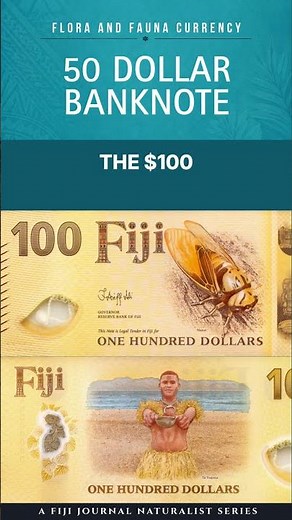 Fiji’s 2025 Polymer $100 Banknote — Nanai and the Bilo of Kava #fijiliving #facts
