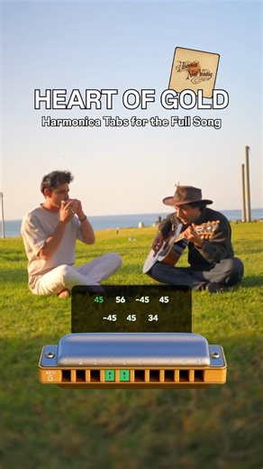 Heart of Gold - Full Song Harmonica Tabs