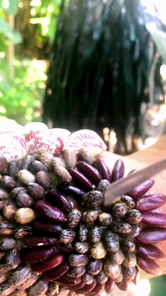 Dealing with Tick Phobia: Tips and Tricks