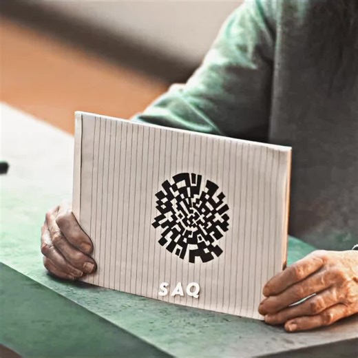 Unbelievable QR Code Incident in America 2043