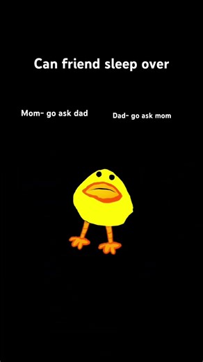 Can friend sleep over