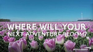 3.8K views · 66 reactions | Tulip season is in full sway. Holland’s famous flower is celebrated across the country from mid-March until the end of May. Start in Amsterdam and grow from there. | British Airways | Facebook