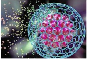 célula animal-partes