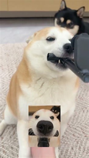 Mastering Perspectives: 1st, 3rd, & Surveillance - What's Your Take