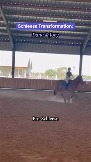 The benefits of proper saddle fit are truly undeniable 😍 Ready to ride in comfort? Check out our website or contact us to start your saddle fit journey! #schleese #saddlefit #horseriding #services #transformation