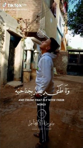 ٢١ يناير ٢٠٢٦