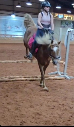 Mini jump day 🩶 80cm next! #showjumping #ponies #ridingvibes