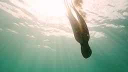 Wild octopus swim underwater in mediterranean sea. Octopuses swimming...