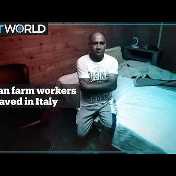 Indian farm workers exploited and kept like slaves in Italy