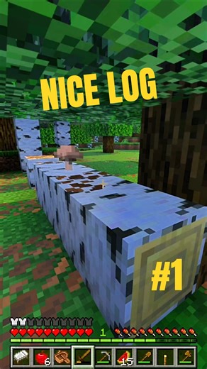 Minecraft | The Nicest Log I’ve Seen