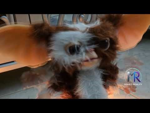 Gizmo the Gremlin Tries to Meditate 🕯️🧘‍♂️ | Cute Chaos & Zen Gone Wrong