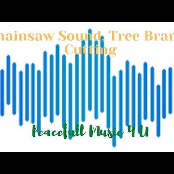 Tree Branch Cutting,Chainsaw Sound