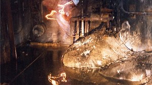 Elephant's Foot | Know Your Meme