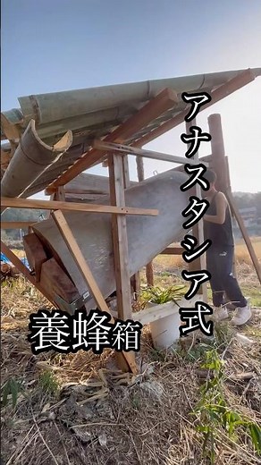 アナスタシア式養蜂箱、蜜蜂の巣箱準備完了#自給自足 #自然#蜂蜜 #蜜蜂 #分蜂